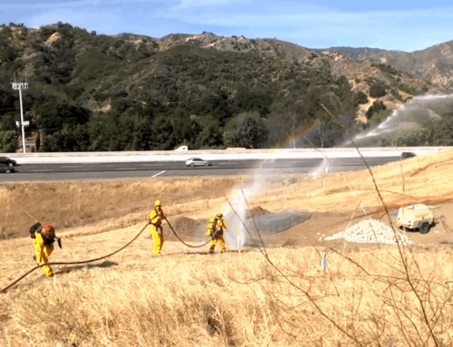 5 Ways You Can Focus On Wildland Fire Prevention In Southern California This Winter