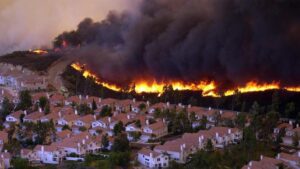 Wildfires: A Learning Lesson in Utility Fire Safety