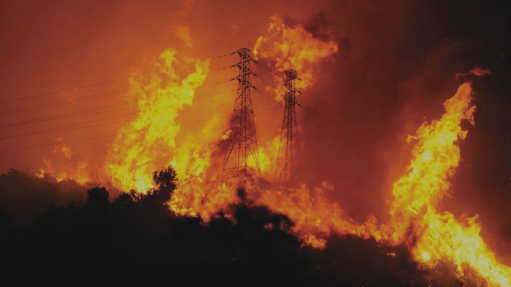Reasons to Hire Wildfire Suppression Services in California