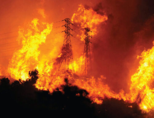 5 Facts About Private Wildland Fire Services