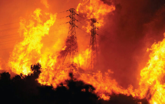 wildland fire services