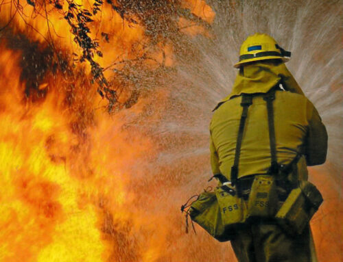 What Wildfire Firefighters Are Doing This Fall To Prevent Wildfires
