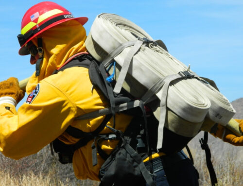 5 Questions to Ask Wildfire Firefighters for Hire