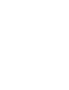 RMF_WildfireHP_Logo_Icon_White