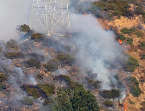 How Vegetation Fire Management Services are Preparing for California’s Fire Season